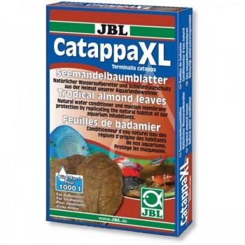 Catappa XL, feuilles de cappa pour les aquariums d'eau...
