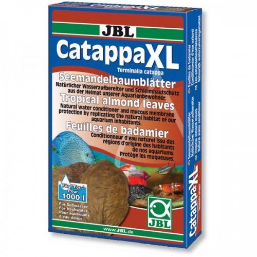 Catappa XL, Catappa Leaves for Freshwater...