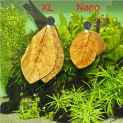 Catappa XL, feuilles de cappa pour les aquariums d'eau douce - JBL