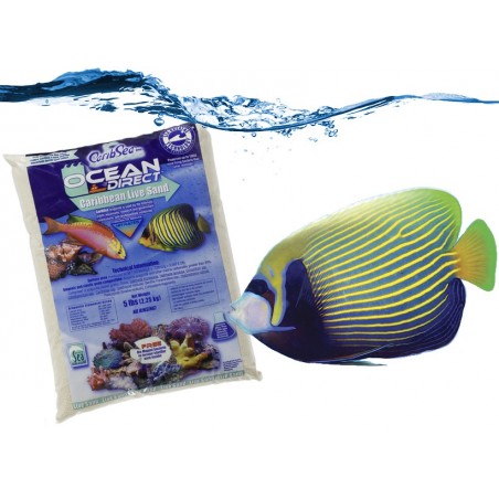 2 kg Sabbia viva Caraibica Ocean Direct