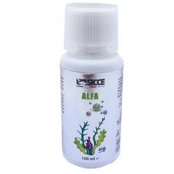 Supplément de fer de gluconate alfa SICCE