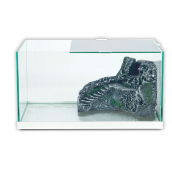 Taga Taggain Tuga 49