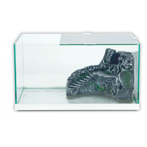 Taga Taggain Tuga 49