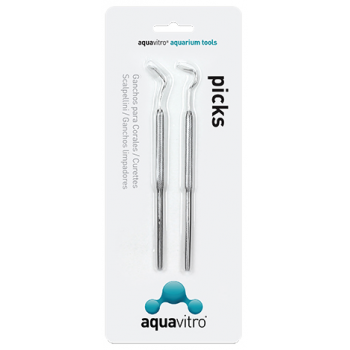 Aquavitro Choisies 2pk 15cm