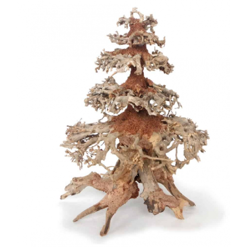 Oriental WIND WOOD 8 MD AMTRA