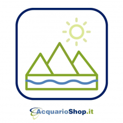Complete Pump of Space Eko + 300 rotor - SICCE