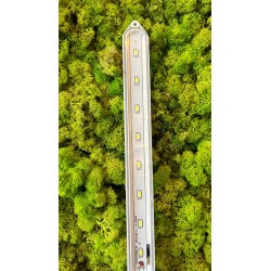 Lumière légère lumière 60 / magis 100