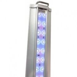 Plafoniera ZP4000 acqua dolce 1047mm 