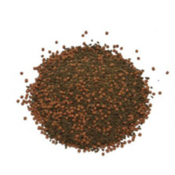 Cichlid Grain, Fish Food - Askoll