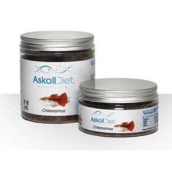 Chironomus, cibo per pesci - Askoll