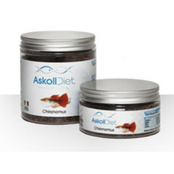 Chironomus, nourriture poisson - askoll