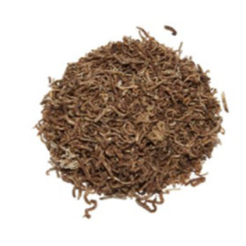 Chironomus, fish food - Askoll 2