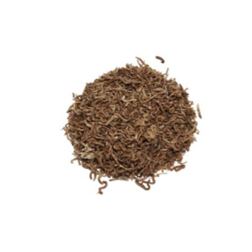 Chironomus, nourriture poisson - askoll