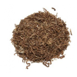 Chironomus, cibo per pesci - Askoll