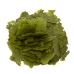 Scaglia spirulina, cibo per pesci - Askoll