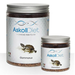 Gammarus, food for aquatic turtles - Askoll