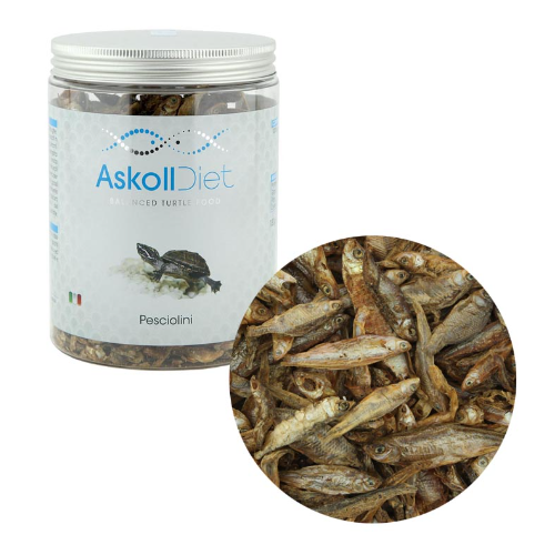 Pesciolini, cibo per tartarughe acquatiche - Askoll