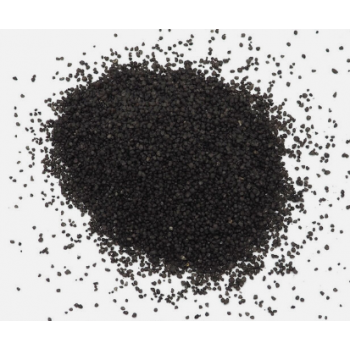 Pure Sable Midnight - Askoll