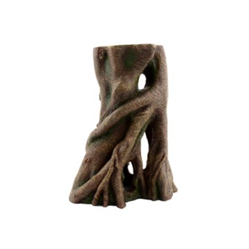 Ornament Rainforest 19x12x25 - Askoll