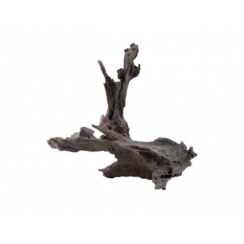 Ornement bois brun - Askoll