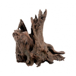 Ornament wood brown - Askoll