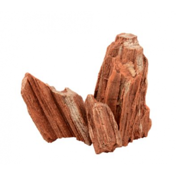 Ornament stone comp - Askoll 2