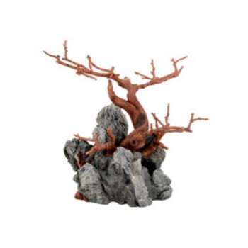 Ornement bois et rocher brun 20x12x19 - Askoll