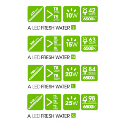 A LED fresh water, Lampade led per acquari d'acqua dolce - Askoll
