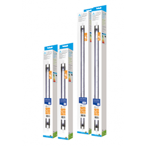 LED Marine, LED lamps for marine aquariums -...