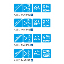 A LED marine, Lampade led per acquari marini - Askoll