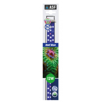 PROTEN LED BAR REEF BLEU - Askoll
