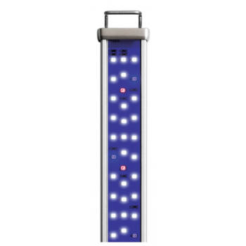 PROTEN LED BAR REEF BLEU - Askoll 2
