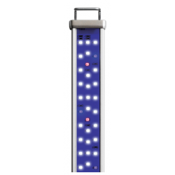 Proten LED bar reef blue - Askoll