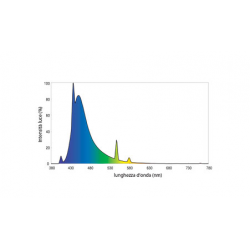 Fluval T5 I have Actinic, T5 fluorescent lamps for marine aquariums - Askoll