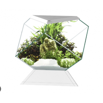 Nexus 5C Betta Life, aquarium kit - Askoll