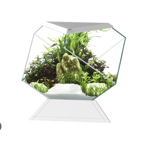 Nexus 5C Betta Life, Kit d'aquarium - Askoll