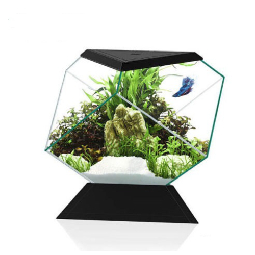 Nexus 5C Betta Life, Kit d'aquarium - Askoll