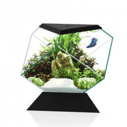 Nexus 5C Betta Life, Kit d'aquarium - Askoll