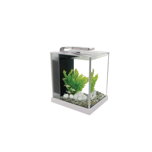 Fluval Spec White 19lt, Kit d'aquarium - Askoll