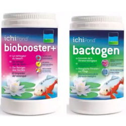 Duo Pack, Qualygae + Bactéries Laghetti - Science aquatique