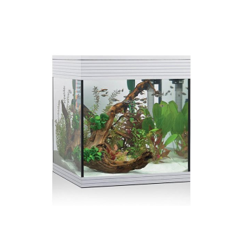 Pure aquarium M, vasca per acquario Pure - Askoll