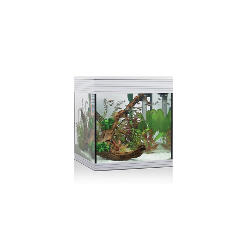 Pure aquarium M, vasca per acquario Pure - Askoll