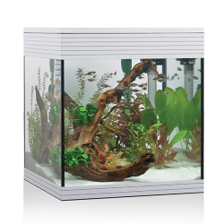 Aquarium pur, baignoire d'aquarium pure - Askoll