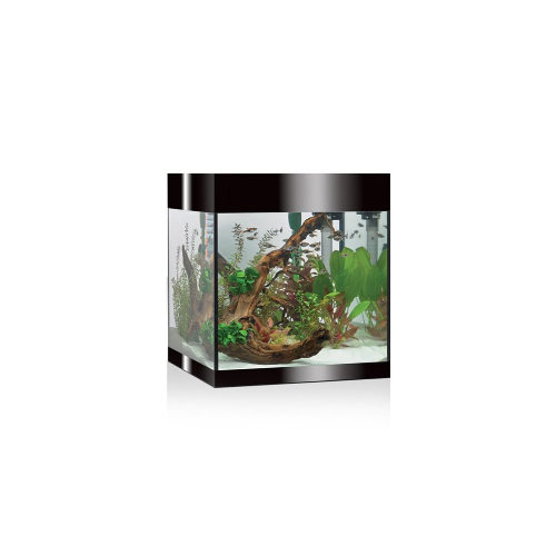 Aquarium pur, baignoire d'aquarium pure - Askoll