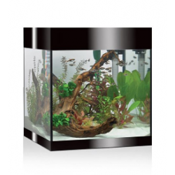 Pure Aquarium M, aquarium tub Pure - Askoll