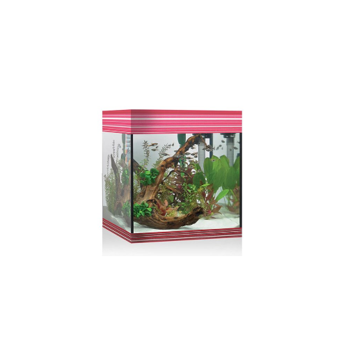 Pure Aquarium M, aquarium tub Pure - Askoll