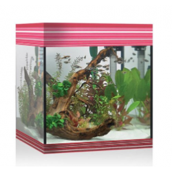 Pure aquarium M, vasca per acquario Pure - Askoll
