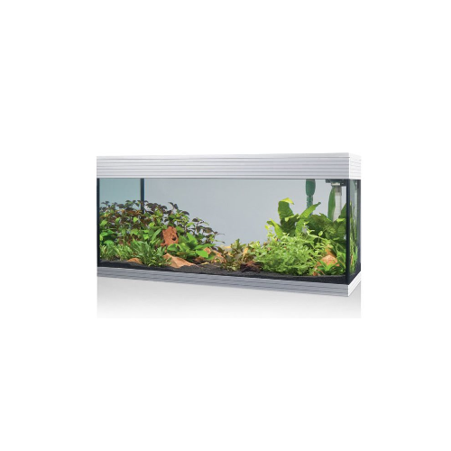 Pure Aquarium XL, aquarium tub as well - Askoll