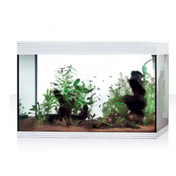 Pure aquarium XL HC, vasca per acquario Pure - Askoll