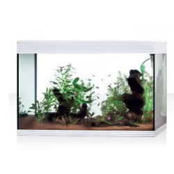 Pure aquarium XL HC, vasca per acquario Pure - Askoll